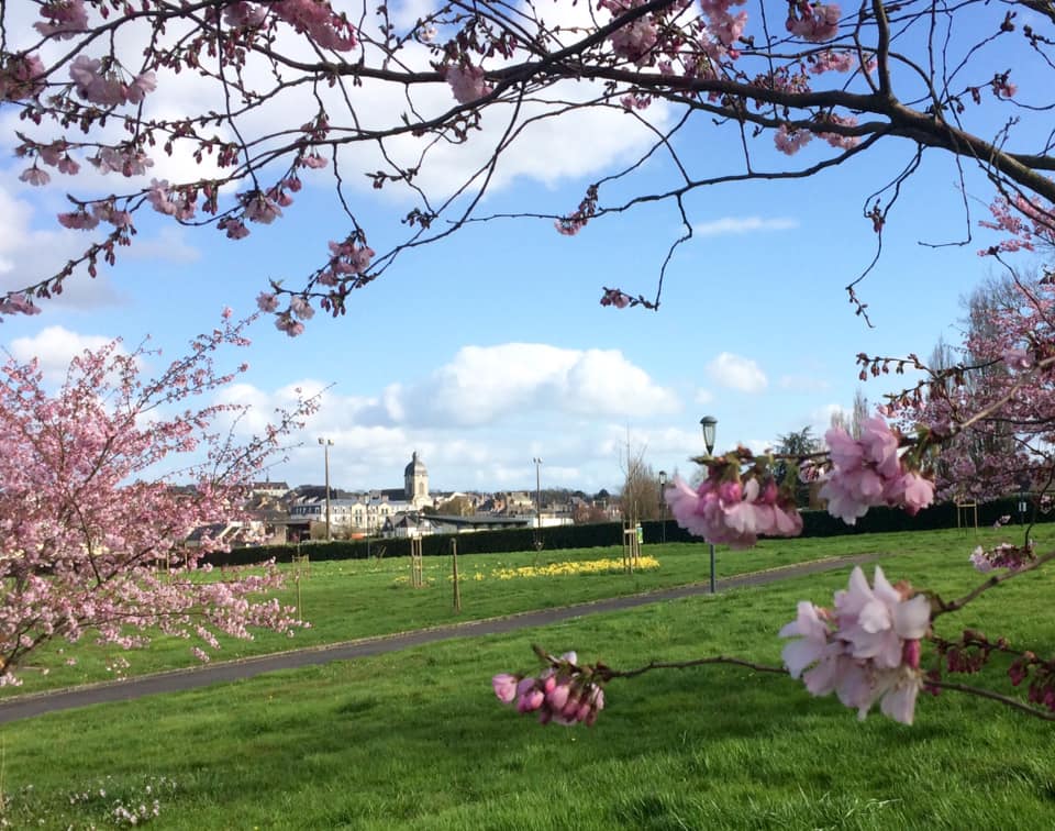 Vue de Argentré-du-Plessis